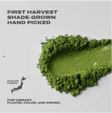 Orva Matcha